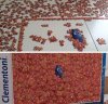 Ale ch*jowe puzzle