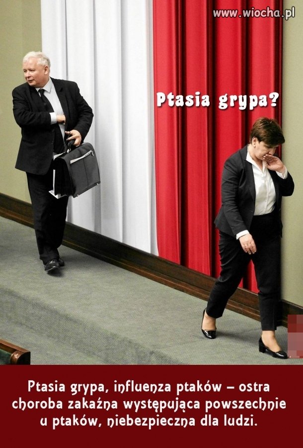 Ewentualnie...smród gnijących zębów prezesa