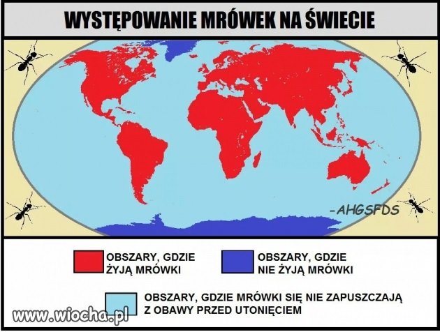 łolaboga