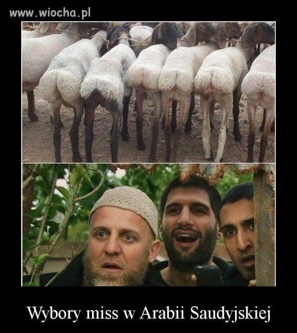 Wybory
