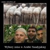 Wybory