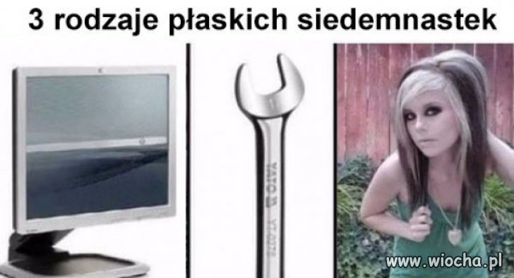 Trzy rodzaje płaskich siedemnastek.