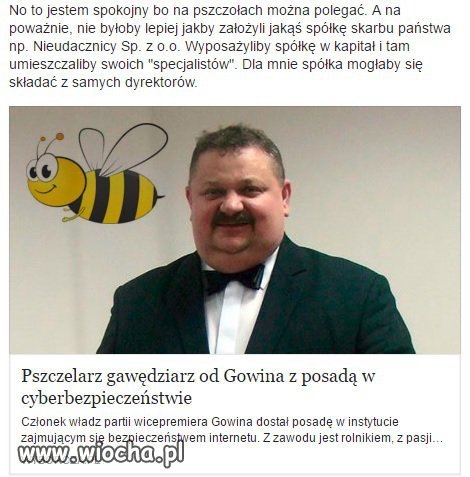 Bezpieczeństwo cyberbzykania
