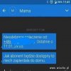 Abonent