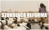 Takiej reformy finansów jeszcze nie było.