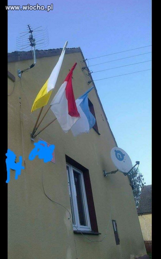Patrioci