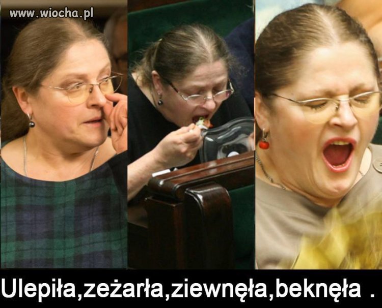 Kwiat pis-u
