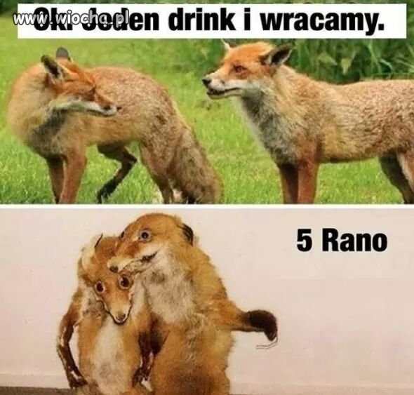 Heh... Zawsze jest tak samo