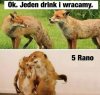 Heh... Zawsze jest tak samo