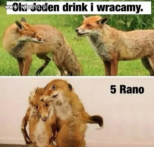 Heh... Zawsze jest tak samo