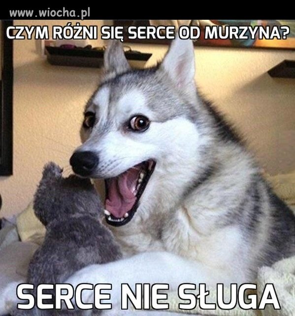 Serce