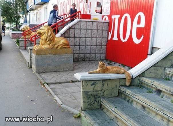 Prawie robi różnicę.