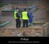 Z życia wzięte