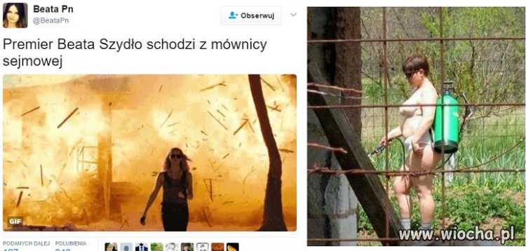 Internet vs rzeczywistość 