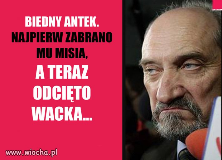 Biedny Antoś.