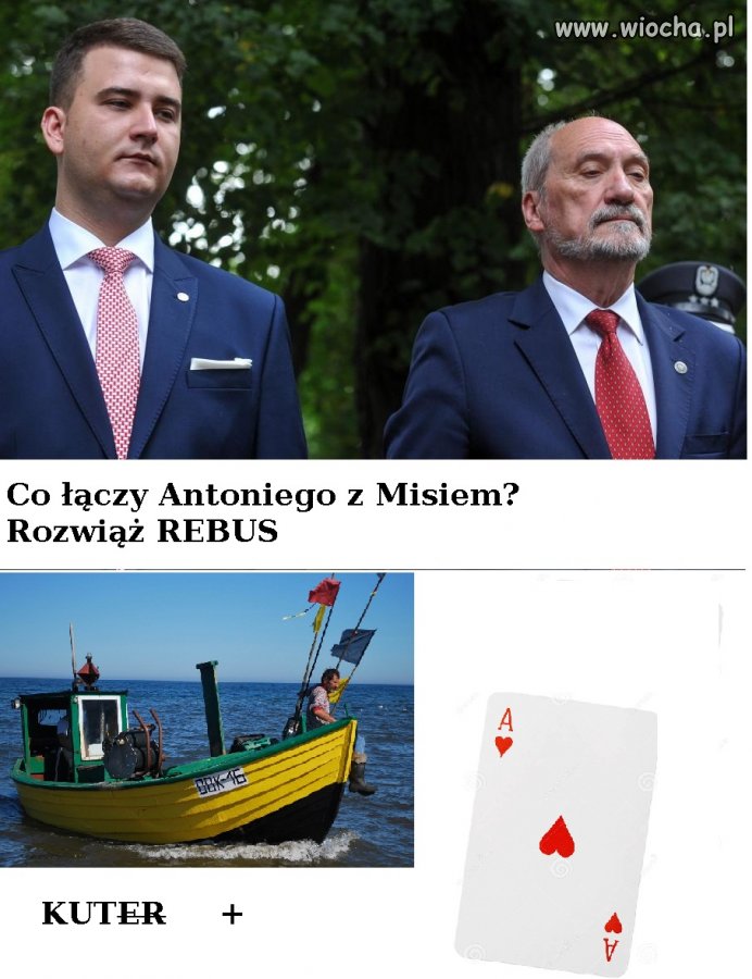 Tu nie trzeba żadnej komisji