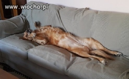 A tak wyglądam 