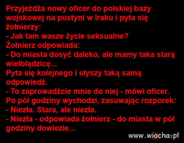 Heheszki