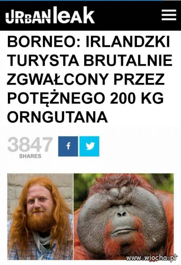 Tylko który to 