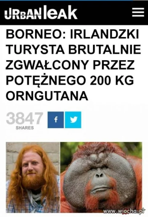 Tylko który to 