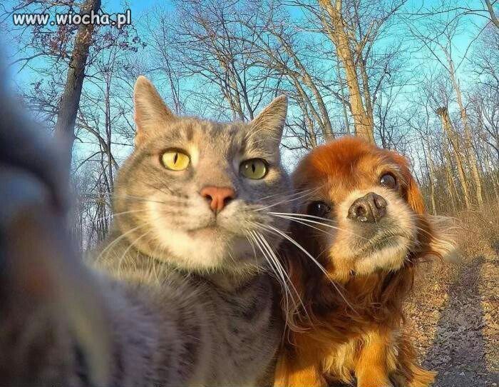 Selfie