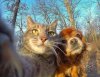 Selfie