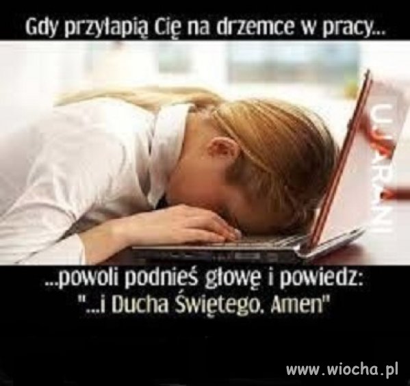 Zawsze się znajdzie wytłumaczenie 
