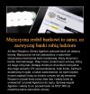 Załatwił system