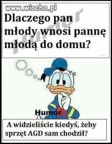 Dlaczego Pan Młody Wnosi Pannę Młodą
