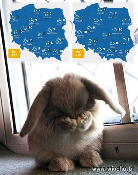 Patrząc na pogodę w święta