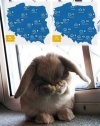 Patrząc na pogodę w święta