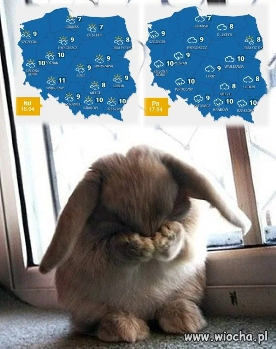 Patrząc na pogodę w święta