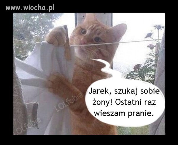 Z przymrużeniem oka