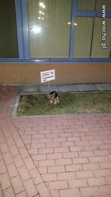 SRANIE NA SYSTEM