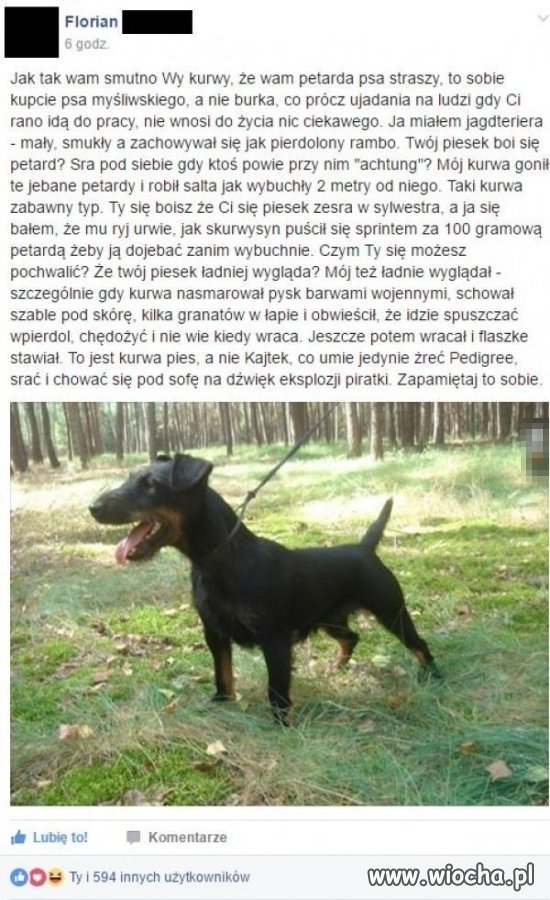 Prawdziwy pies, a nie jakiś podrabianiec