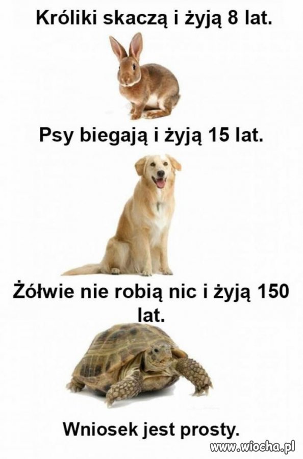 Wiesz, co robić