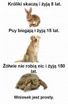 Wiesz, co robić