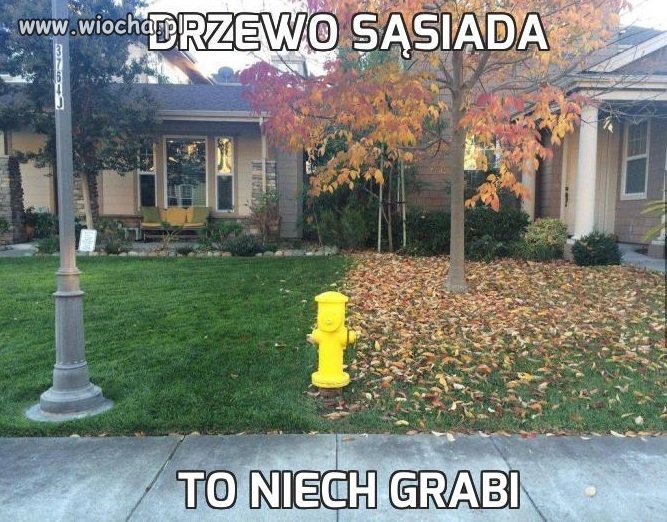 Ja bym zagrabił i sąsiadowi