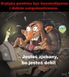 Trolle na portalach
