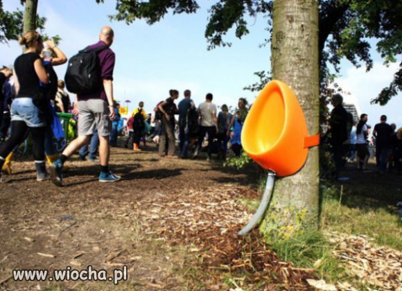 świetny pomysł...
