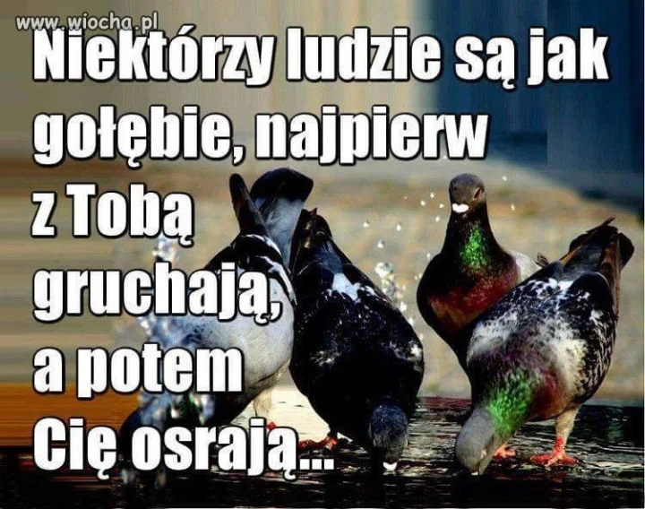 Święta prawda