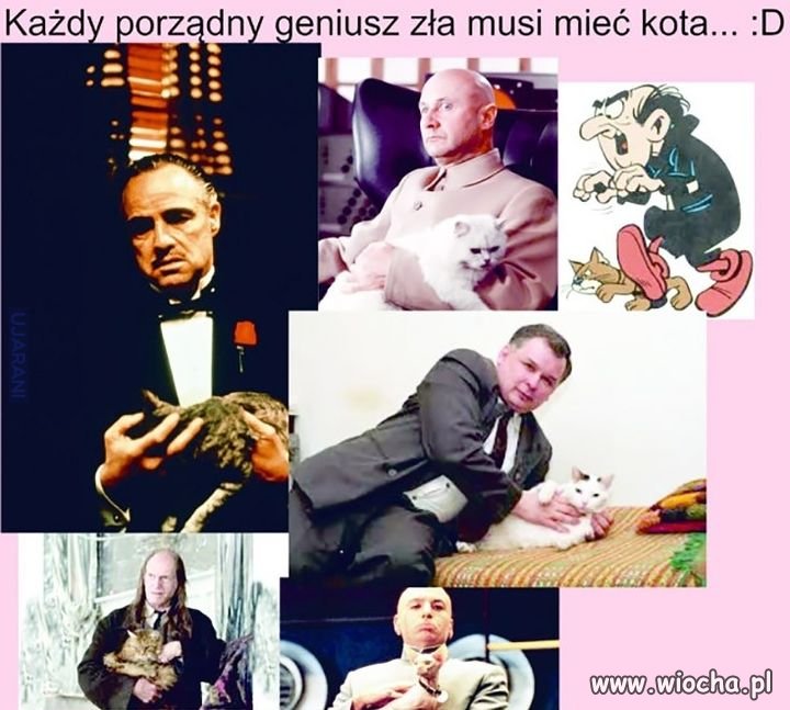 Co tu dużo pisać ?