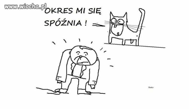 Kot...