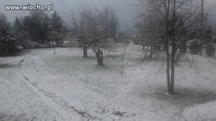 Z cyklu pogoda na święta