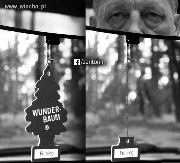Wunder-baum