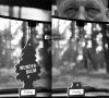 Wunder-baum