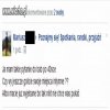 Haidi