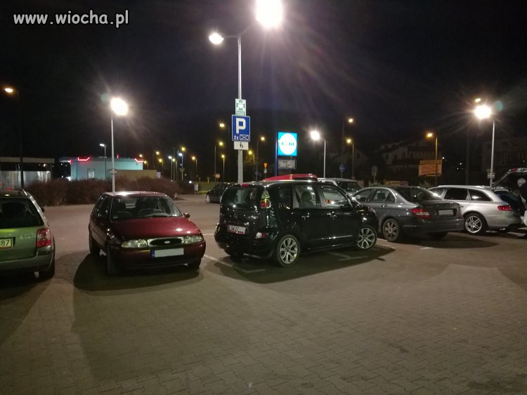 Mistrz parkowania