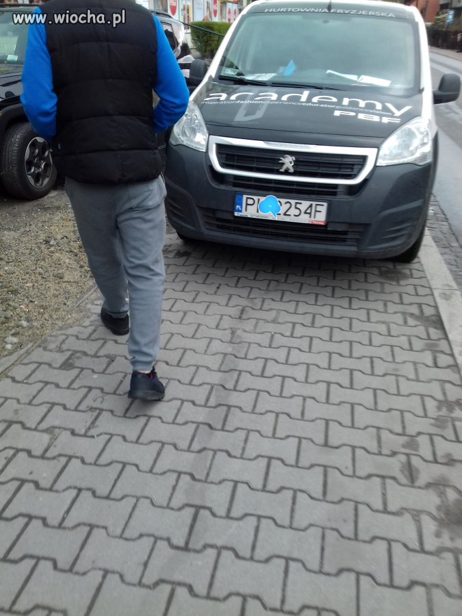 Mistrz parkowania