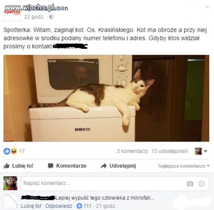 Co tam kot...